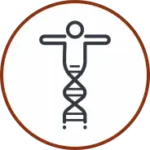 Antioxidáns és gyulladáscsökkentő